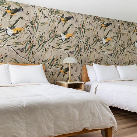 The Windmoor Lodge Grayling Bilik gambar