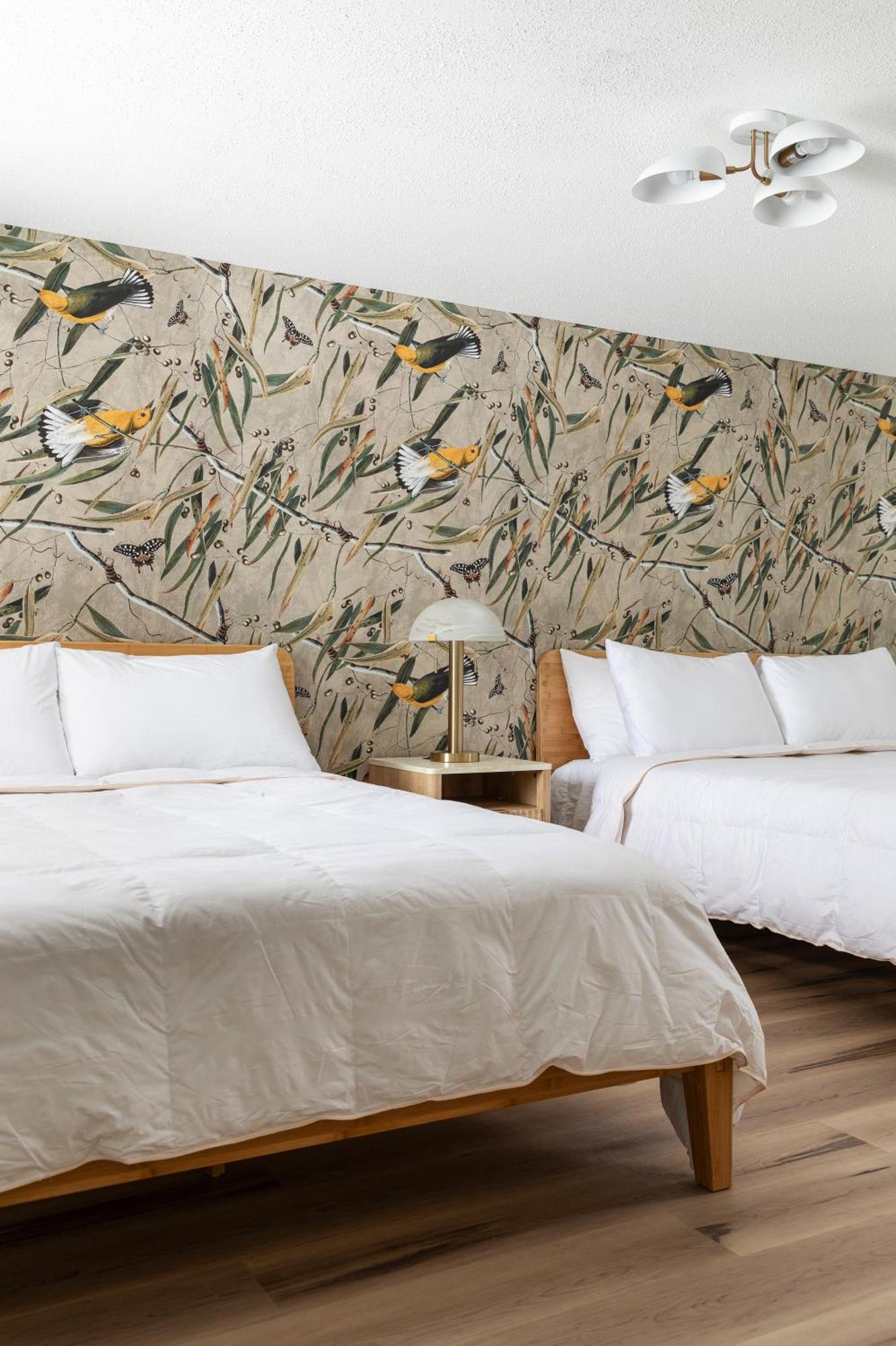 The Windmoor Lodge Grayling Bilik gambar