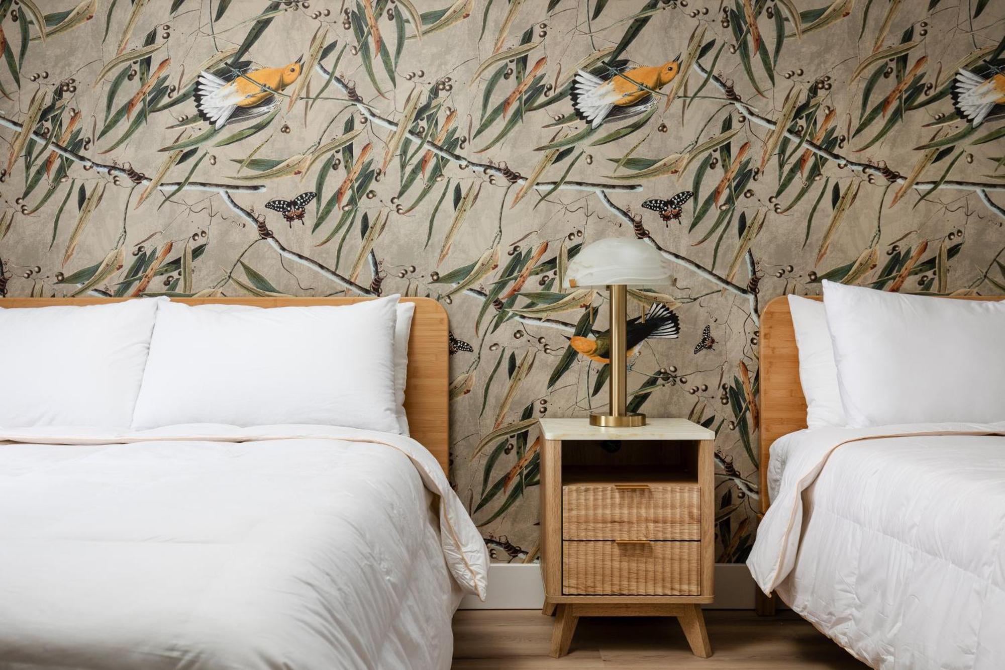 The Windmoor Lodge Grayling Bilik gambar